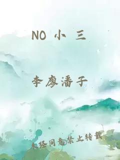 NO 小 三